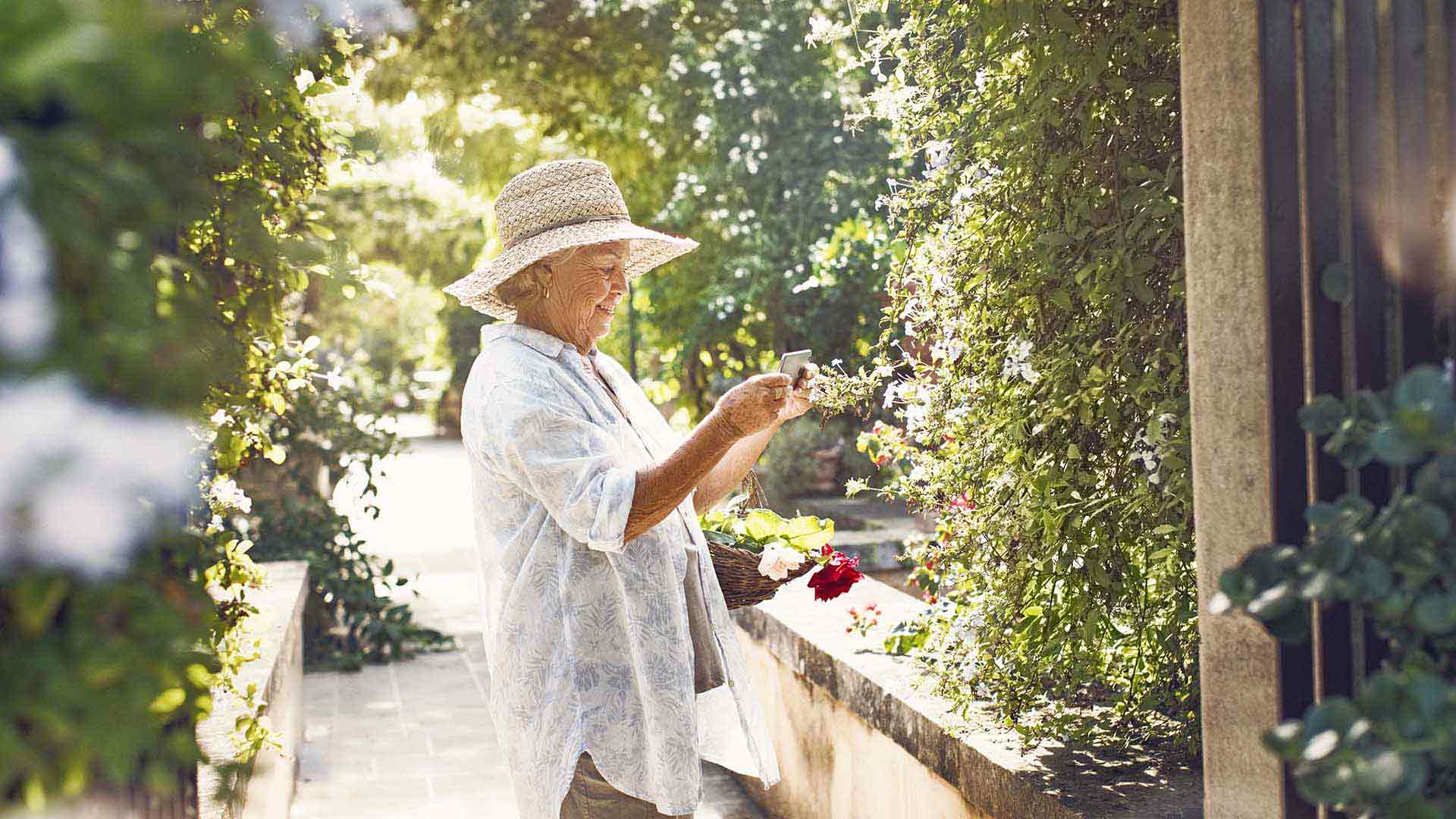 Vecāka gadagājuma sieviete, kas plūc dārzā ziedus